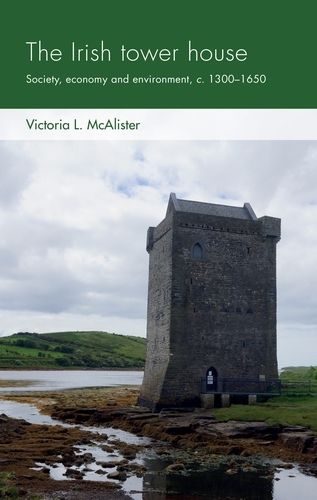 Cover image for The Irish Tower House: Society, Economy and Environment, c. 1300-1650