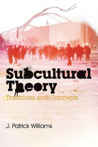 Cover image for Subcultural Theory: Traditions & Concepts