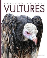 Cover image for Amazing Animals: Vultures