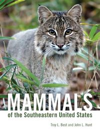 Cover image for Mammals of the Southeastern United States