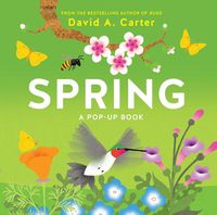 Cover image for Spring: A Pop-up Book
