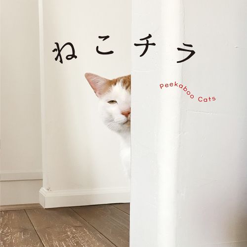 Cover image for Peekaboo Cats