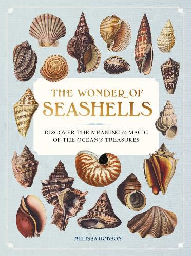 Cover image for The Wonder of Seashells