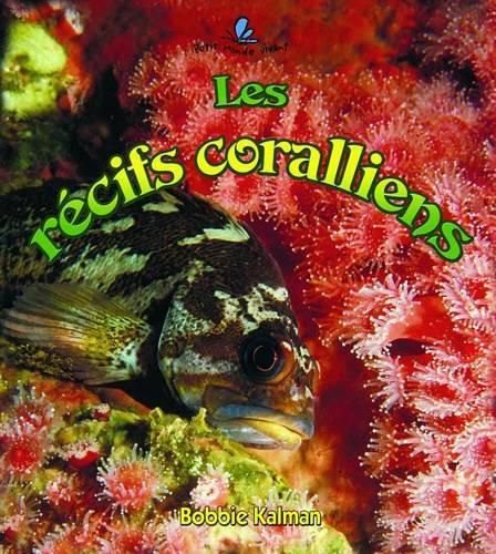 Cover image for Les R'Cifs Coralliens