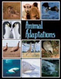 Cover image for Springboard into Comprehension Level 5 Animal Adaptations