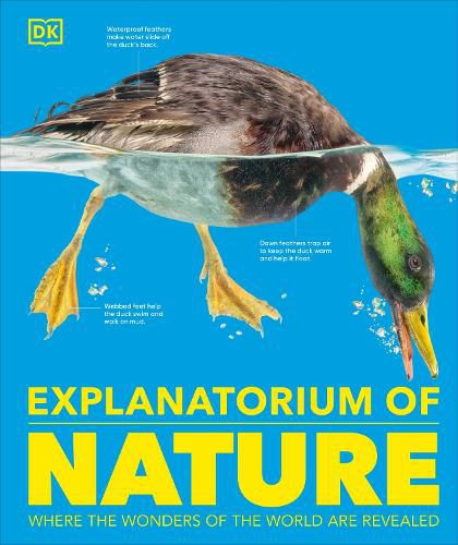 Cover image for Explanatorium of Nature