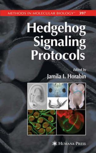 Cover image for Hedgehog Signaling Protocols