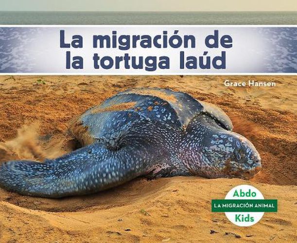 Cover image for La Migracion De La Tortuga Laud/ Leatherback Turtle Migration