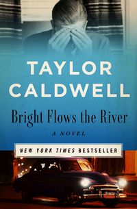 Cover image for Bright Flows the River: A Novel