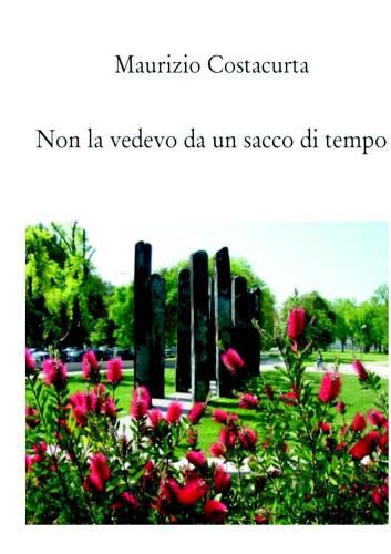 Cover image for NON LA VEDEVO DA UN SACCO DI TEMPO