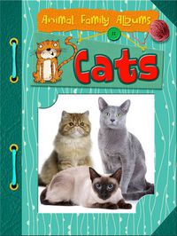 Cover image for Cats