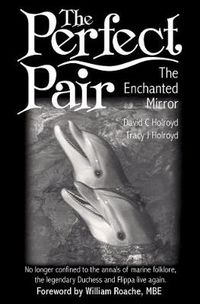 Cover image for The Perfect Pair: The Enchanted Mirror