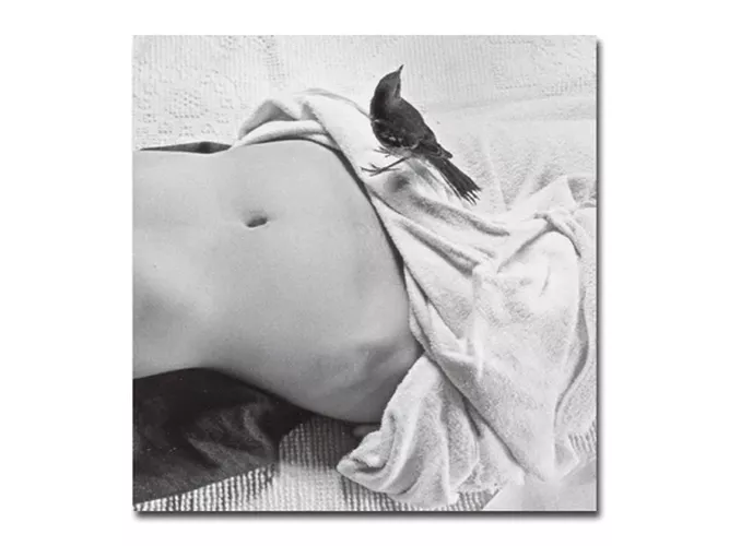 Cover image for Light Touch