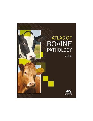 Cover image for Atlas of Bovine Pathology