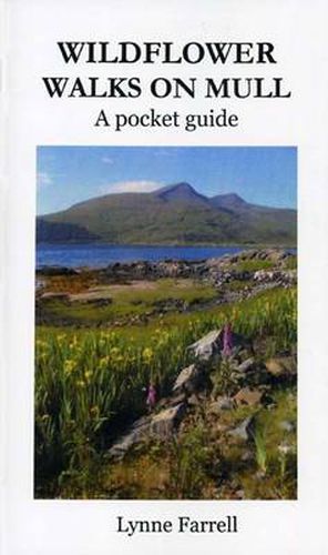 Cover image for Wildflower Walks on Mull