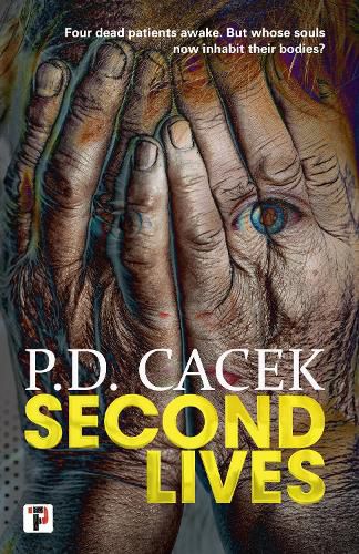 Cover image for Second Lives