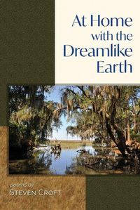 Cover image for At Home with the Dreamlike Earth