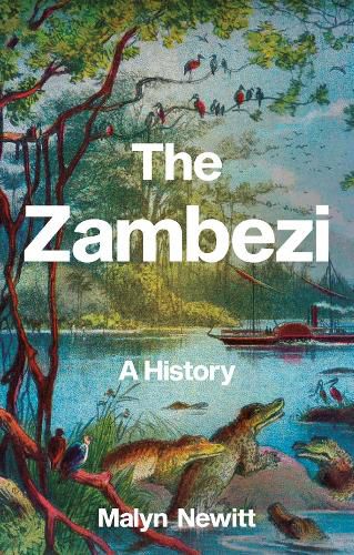 Cover image for The Zambezi: A History