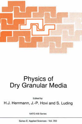 Physics of Dry Granular Media