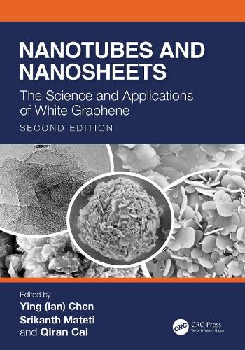 Cover image for Nanotubes and Nanosheets