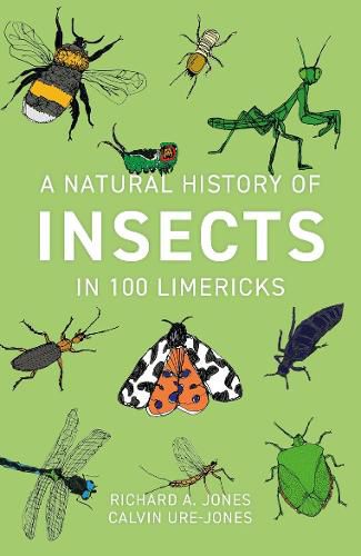 Cover image for A Natural History of Insects in 100 Limericks