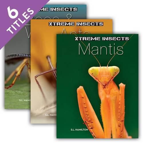 Cover image for Xtreme Insects