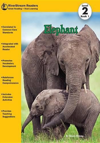 Cover image for Elephant