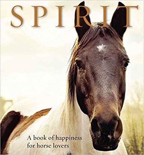 Cover image for Spirit