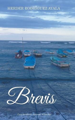 Cover image for Brevis