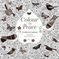 Cover image for Colour in Peace: A reflective journey