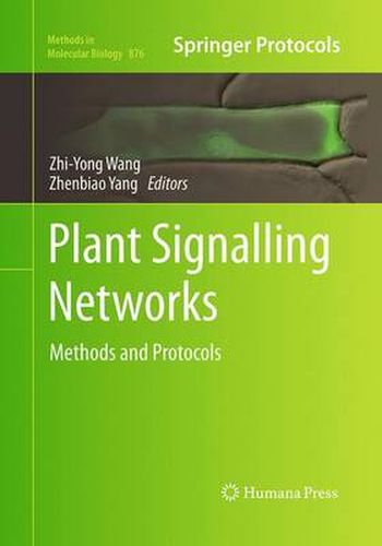 Cover image for Plant Signalling Networks: Methods and Protocols