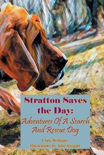 Cover image for Stratton Saves the Day