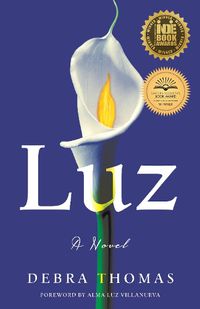 Cover image for Luz: A Novel