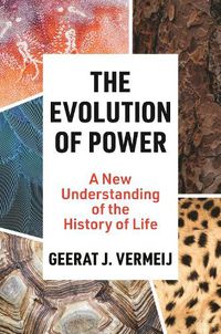 Cover image for The Evolution of Power