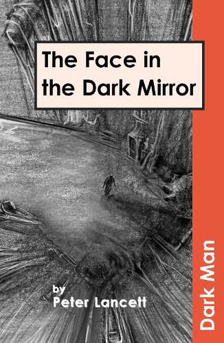 Cover image for The Face in the Dark Mirror