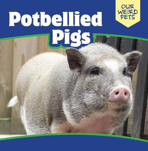 Cover image for Potbellied Pigs