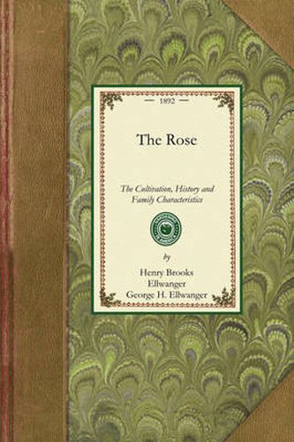 Cover image for Rose: A Treatise on the Cultivation, History, Family Characteristics, Etc., of the Various Groups of Roses, with Accurate Descriptions of the Varieties Now Generally Grown