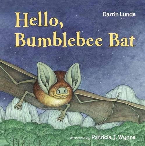 Cover image for Hello, Bumblebee Bat