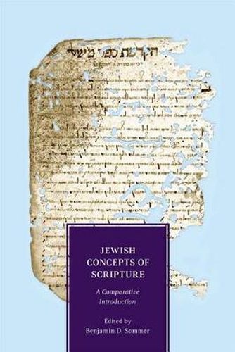 Cover image for Jewish Concepts of Scripture: A Comparative Introduction