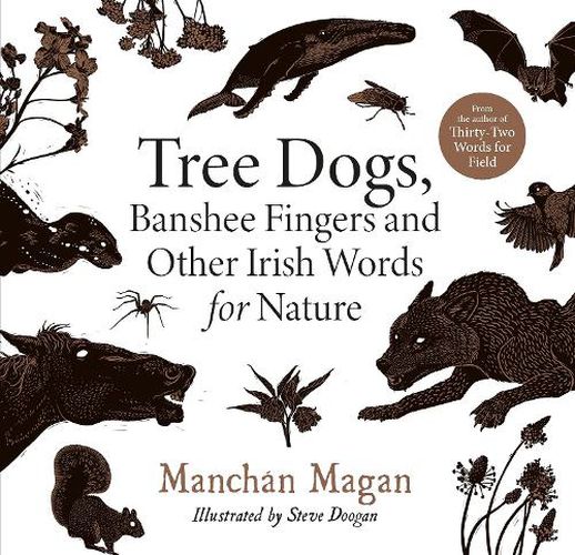 Cover image for Tree Dogs, Banshee Fingers and Other Irish Words for Nature