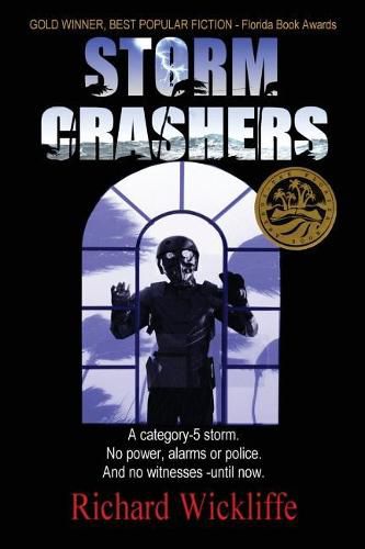 Cover image for Storm Crashers