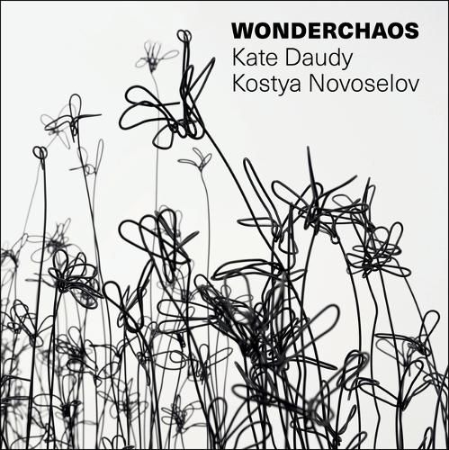 Cover image for Wonderchaos