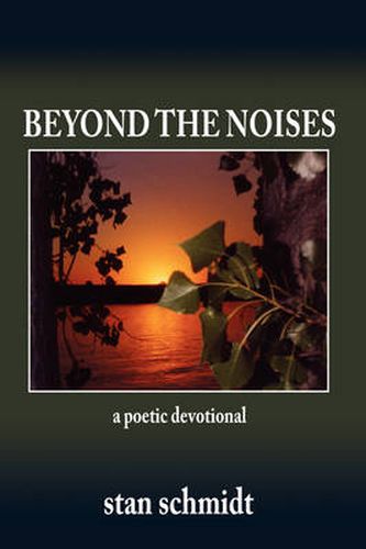 Cover image for Beyond the Noises