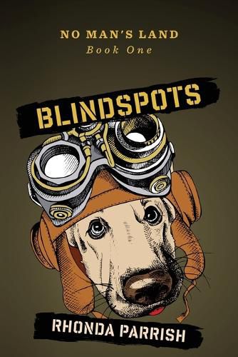 Cover image for Blindspots