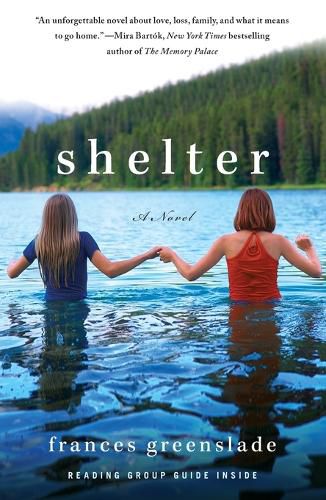 Cover image for Shelter
