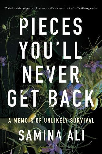 Cover image for Pieces You'll Never Get Back