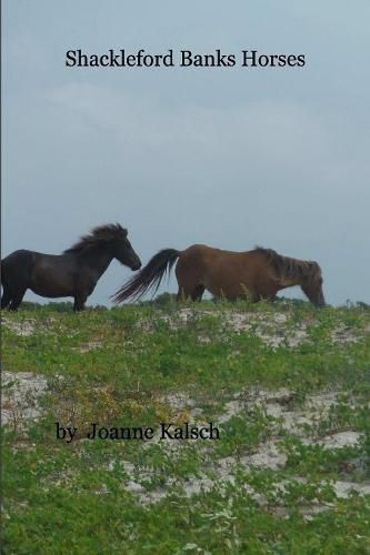 Shackleford Banks Horses