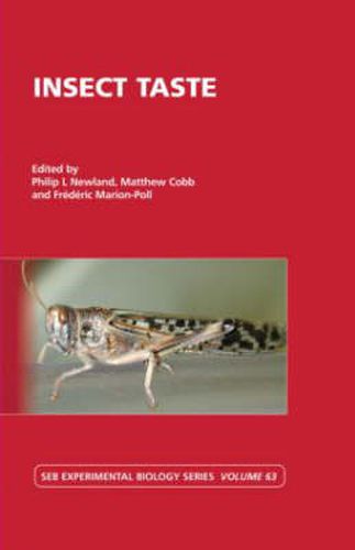 Cover image for Insect Taste: Vol 63