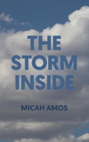 Cover image for The Storm Inside