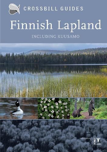 Cover image for Finnish Lapland: Including Kuusamo